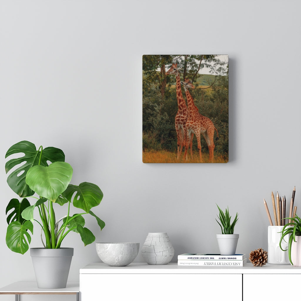 Giraffe Duo | Canvas Gallery Wrap
