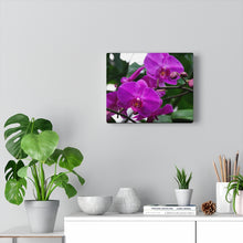 Load image into Gallery viewer, Purple Orchid Hues | Canvas Gallery Wrap