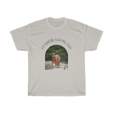 Load image into Gallery viewer, Equine in the Sand Dunes | T-Shirt
