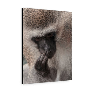 Monkey Thoughts | Canvas Gallery Wrap