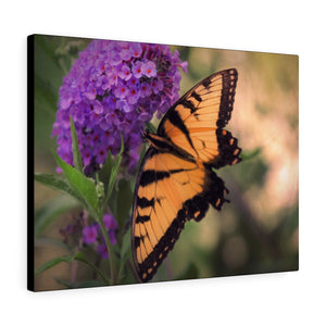 Wings & Wishes | Canvas Gallery Wrap