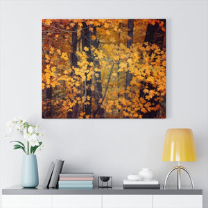 Autumn Forest Edge | Canvas Gallery Wrap