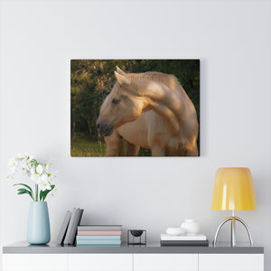 Tranquil Equine Eve | Canvas Gallery Wrap