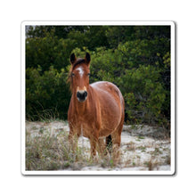 Load image into Gallery viewer, Equine in the Sand Dunes | Magnet