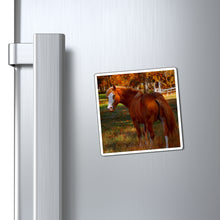 Load image into Gallery viewer, Mare Within Autumn Pastures | Magnet