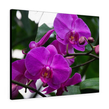 Load image into Gallery viewer, Purple Orchid Hues | Canvas Gallery Wrap