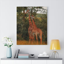Load image into Gallery viewer, Giraffe Duo | Canvas Gallery Wrap