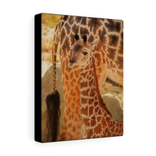 Load image into Gallery viewer, Camouflaged Giraffe Calf | Canvas Gallery Wrap