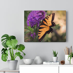 Wings & Wishes | Canvas Gallery Wrap